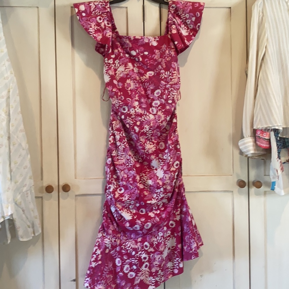 NWT SACHIN & BABI ellen pink floral fitted dress - Picture 4 of 13